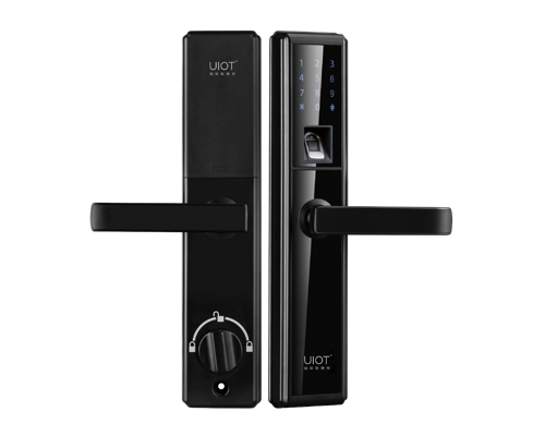 Auroral Internet of things door lock