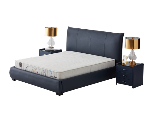Intelligent bed