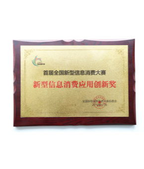 新型信息消费应用创新奖